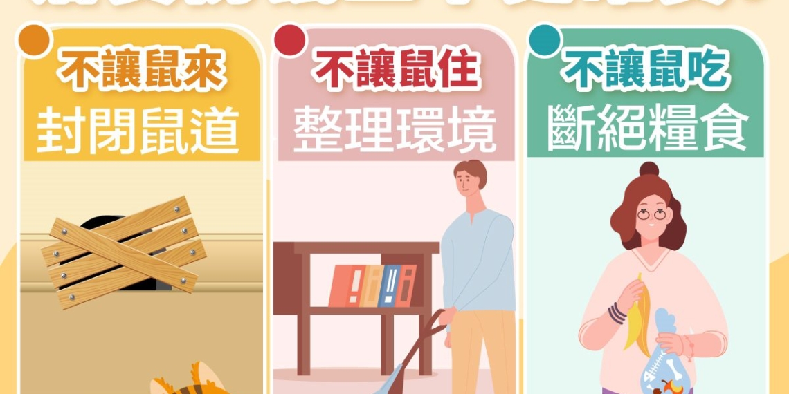 ▲嘉市加強宣導防鼠三不。(圖/嘉義市政府提供)