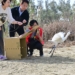 ▲嘉義縣跨單位順利完成黑面琵鷺的野放。（圖/嘉義縣政府提供）