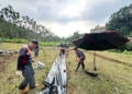 ▲縣府持續持續於華山、樟湖及草嶺地區推動螢火蟲棲地復育計畫。(圖/雲林縣政府提供)