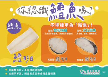 ▲為慎防民眾欲消費詐欺，嘉義市衛生局製作相關食安宣導內容。(圖/嘉義市政府提供)