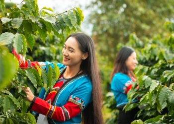 ▲2026台灣燈會形象影片以創意敘事手法與深刻情感連結,引發民眾共鳴。(圖/嘉義縣政府提供)