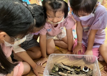 ▲幸福幼兒園的學童觀察獨角仙成長過程。(圖/嘉義市政府提供)