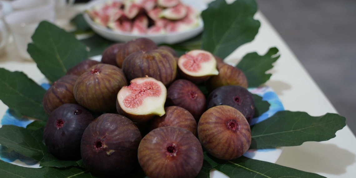▲和興無花果園導入智慧天窗與噴灌系統，良率提升至95%。(圖/雲林縣政府提供)