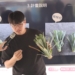 ▲嘉義青農翁嘉隆展示鳳梨切苗機械化。(圖/嘉義縣政府提供)