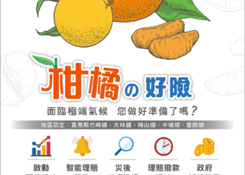 ▲嘉義縣柑橘保險開賣，農民最低自付2成即享保障。（圖/嘉義縣政府提供）