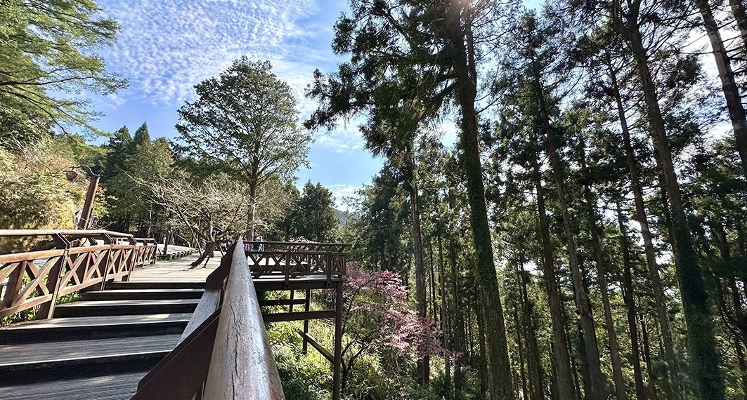 ▲阿里山森林遊樂區。（圖/嘉義縣政府提供）
