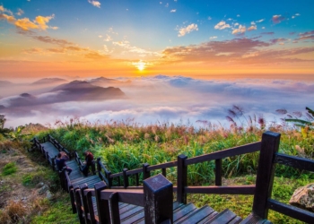 ▲二延平步道：欣賞阿里山壯麗景致的熱門健行路線。（圖/嘉義縣政府提供）