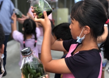 ▲小朋友嘗試手做蘭花盆栽，還能帶回家擺設布置。（圖/嘉義縣政府提供）