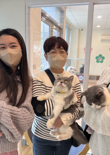 ▲「喵星人命定配對活動」等你來認養。（圖/嘉義縣政府提供）