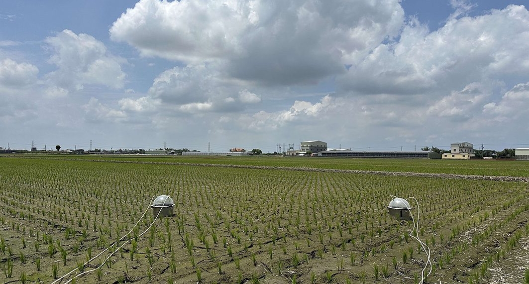 ▲雲林縣推動低碳稻作計畫，透過施用特定益生菌製劑，降低水稻田溫室氣體排放。(圖/雲林縣政府提供)