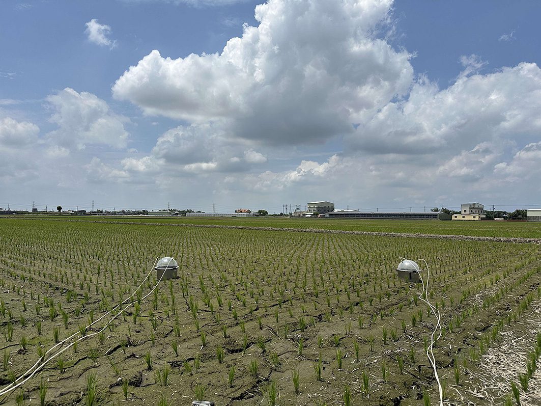 ▲雲林縣推動低碳稻作計畫,透過施用特定益生菌製劑,降低水稻田溫室氣體排放。(圖/雲林縣政府提供)