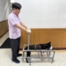 ▲嘉義縣家畜疾病防治所為斷肢狗狗量身訂做復健車。（圖/嘉義縣政府提供）