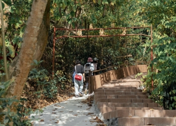 ▲蘭潭好漢坡步道全新優化開放，結合安全設計與自然景觀，成為熱門戶外健行新據點。（圖／嘉義市政府提供）