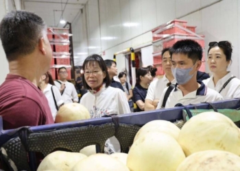 ▲謝淑亞副縣長率團參訪新加坡物流商及超市集團。(圖/雲林縣政府提供)