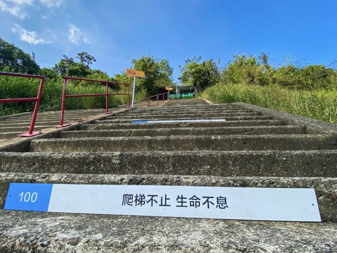 樂享湖光山色 最酷老鷹秀 !走38階就能玩全台最大曾文水庫