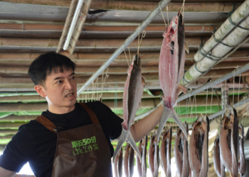 ▲田家達挑戰製作現殺的虱目魚一夜干。（圖/嘉義縣政府提供）