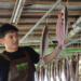 ▲田家達挑戰製作現殺的虱目魚一夜干。（圖/嘉義縣政府提供）