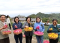 ▲縣長張麗善率縣府團隊參加樟湖生態中小學謝茶祭暨校慶活動。(圖/雲林縣政府提供)